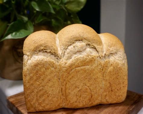 【柔软的全麦面包（低糖低油）的做法步骤图】是Vio呀_下厨房