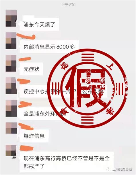 在线受理，视频连线——上海海关创新模式保障疫情期间民生物资进口_市政厅_新民网