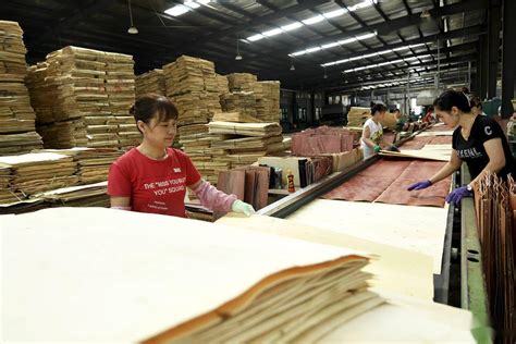 河北文安全力打造板材产业集群-中国木业网