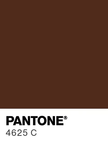 PANTONE® USA | PANTONE® 4625 C - Find a Pantone Color | Quick Online ...