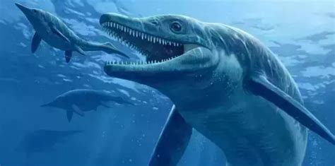 史前10大最恐怖的生物，第一种轻易撕裂鲨鱼，最后一种猎食恐龙