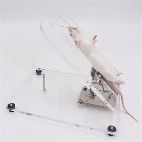 小鼠解剖台大鼠蛙类解刨固定板老鼠实验小动物手术台角度可调式-淘宝网