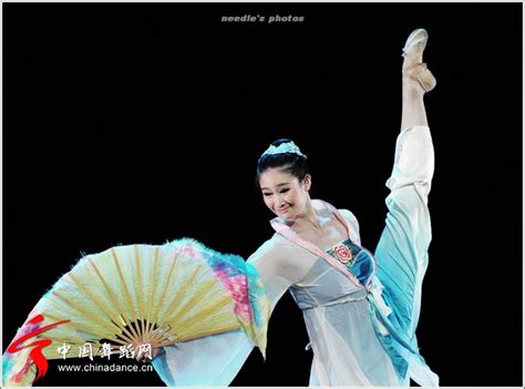 古典舞包括哪些-中国古典舞有哪些舞蹈？