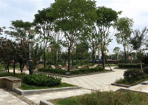 郑汴新区中央公园景观规划设计