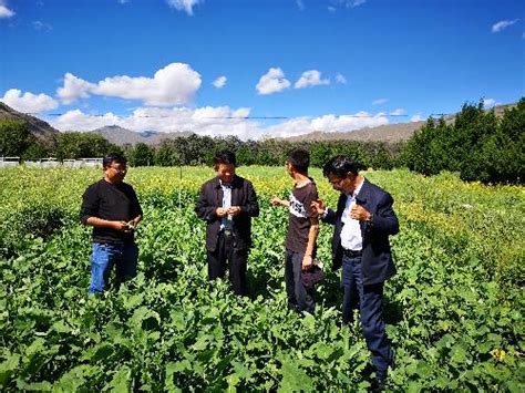 中国农业科学院人事局--西藏农业技术服务团启动仪式在拉萨举行