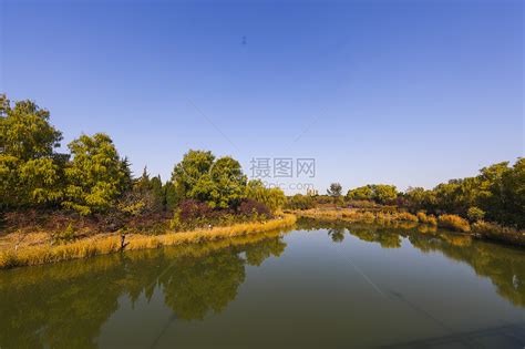 【奥森公园生态摄影图片】北京奥森公园生态摄影_天地_太平洋电脑网摄影部落