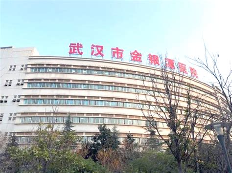 湖北省武汉市金银潭医院-兰贝信息科技有限公司