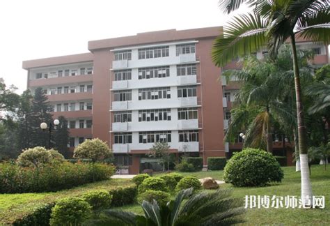 广东岭南现代技师学院-办高水平技师学院 铸新时代大国工匠