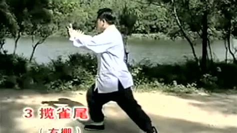 傅清泉85式杨式太极拳第一段_标清_腾讯视频