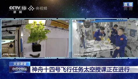 真酷！航天员带上VR眼镜给太空植物取样，还能直接拍照发图……_种植_陈东_水稻