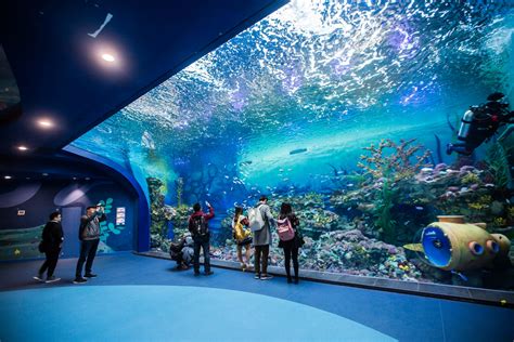2021上海海昌海洋公园游玩攻略,⬇【上海海昌海洋公园】内最...【去哪儿攻略】