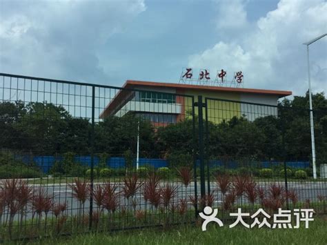 石碁第三中学正式更名为大龙中学，石碁第二中学正式更名为育龙中学_教育