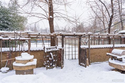 院子围栏下雪素材图片免费下载-千库网