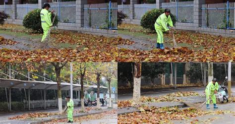 这是杭州今天的落叶！环卫工人凌晨4点就开始打扫-杭州影像-杭州网