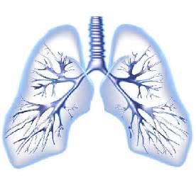 一个肺部病例的分析！_疾病分享_快速问医生