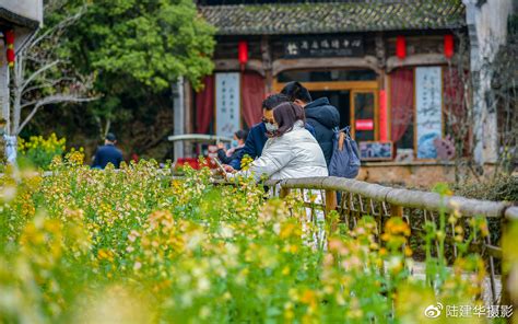 电视剧《花开山乡》的启示：放眼时代变革， 探索乡村振兴故事的差异化表达 | 新批评_澎湃号·湃客_澎湃新闻-The Paper