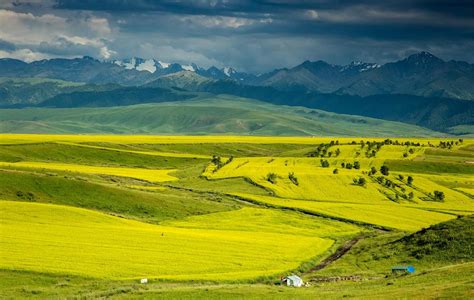 新疆伊犁恰西草原风景摄影图配图高清摄影大图-千库网