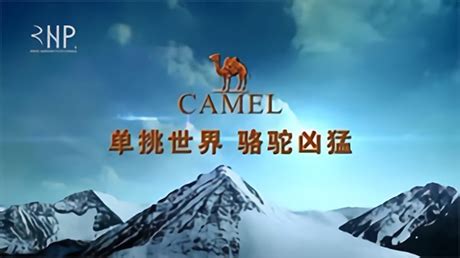 【骆驼牌和骆驼】CAMEL和骆驼牌有什么区别？骆驼牌和CAMEL哪个好→买购品牌网