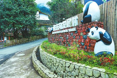 雅安：做更好的大熊猫守护者---四川日报电子版