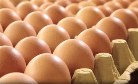 一个鸡蛋多少钱（鸡蛋现在多少钱一斤） - BAT日报