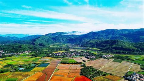 朱村获评2020年“广州最美村庄”