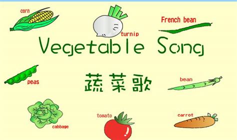 蔬菜的英语单词有哪些,音标,怎么写_大山谷图库