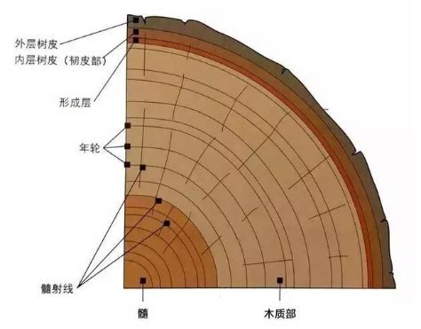 中国木材加工行业经营现状及发展战略研究报告 - 知乎