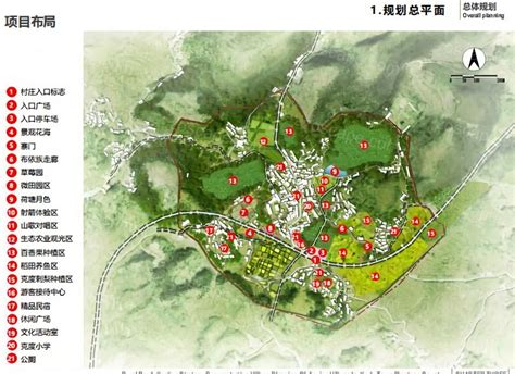 【大国基理】浙江开化金星村：一个村化作一片景