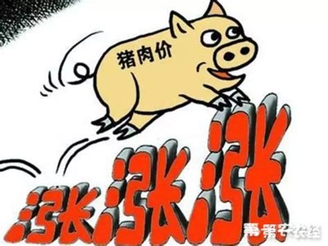 近期安徽生猪出栏价快速上涨 40天内猪后座每公斤涨6元_安徽频道_凤凰网