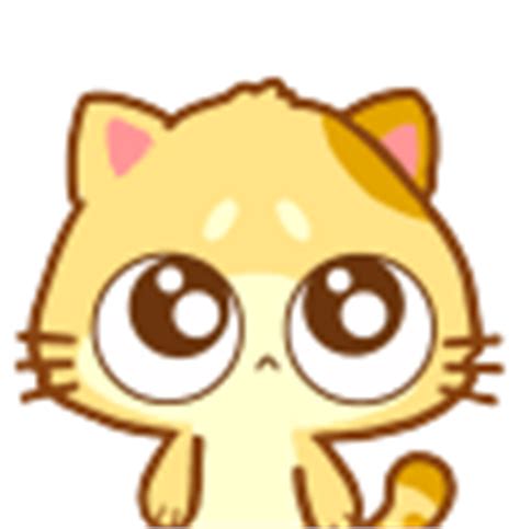 木木猫QQ表情，会动的黄色猫猫图片_qq表情大全_朝夕网QQ表情