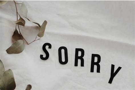 40 I’m Sorry Quotes to Apologize With Right Word – Events Greetings