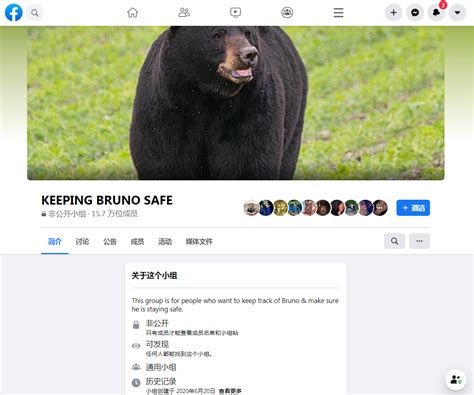 新科普|“黑熊为脱单徒步650公里”爆红，复旦专家：它可能只是爱冒险_手机新浪网