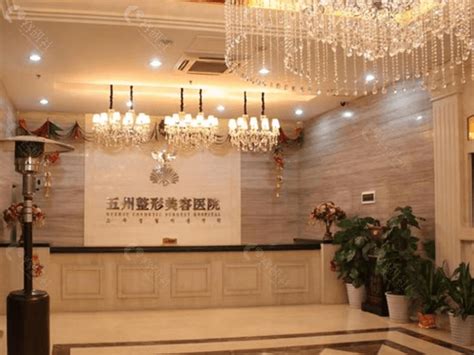 武汉五洲整形医院收费标准一览,含隆胸/吸脂/隆鼻价格+医生