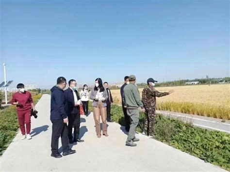 绥化市领导到八一农大安达农业科技园区检查指导工作