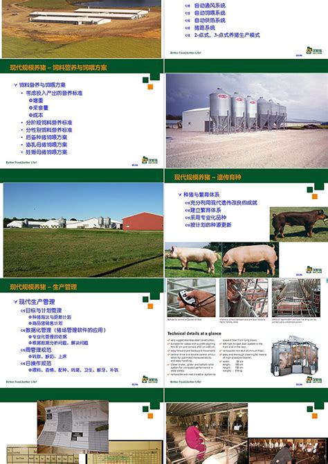 中国养猪业现状及发展趋势PPT_卡卡办公