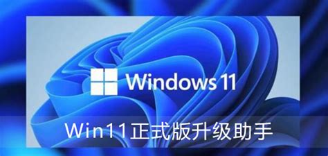 windows11升级助手官网版本下载安装-win11更新助手官网v1.419041.2063 官方版 - 极光下载站