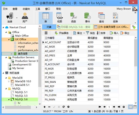 Navicat for MySQL 外观选项设置技巧（上）-Navicat中文网站