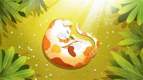 夏天处暑猫咪暖洋洋的睡觉插画图片-包图网