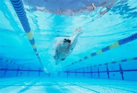 【图】自由泳的动作要领图解 动作呼吸技巧_自由泳的动作要领图解_伊秀美体网|yxlady.com