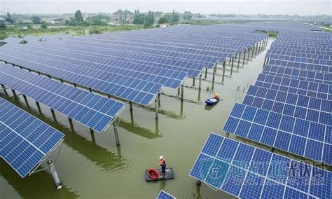 广东茂名建大型复合光伏项目，投资6.2亿元，采用发电和种植模式_阳光工匠光伏网