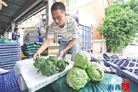 持续引进优质临夏农产品 厦门市民今起可尝鲜“高原夏菜” - 城事 - 东南网厦门频道