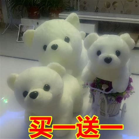 泰迪熊 熊 玩具熊 孤立 马熊 玩具 儿童玩具 毛绒图片免费下载 - 觅知网