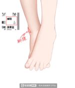二次元脚图片