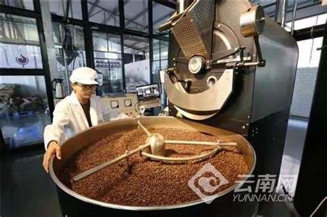 云南思茅：优化咖啡加工工艺破解污水处理难题