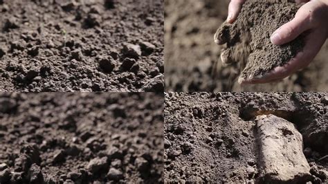 想让土壤肥沃，就得提高土壤有机质含量，你知道如何提高有机质吗_智慧农业-农博士农先锋网