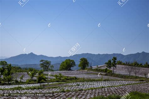 【都说卢氏好风光摄影图片】卢氏风光摄影_凝固美丽_太平洋电脑网摄影部落