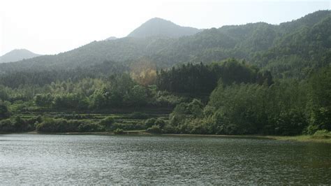 太平湖_太平湖钓鱼攻略_太平湖可以钓鱼吗 - 钓鱼之家