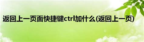 返回上一页面快捷键ctrl加什么(返回上一页)_草根科学网