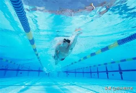 自由泳：如何选择适合自己的划水路线？近体直划与s型划水的利弊 - 知乎