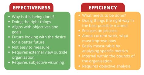 Effectiveness vs Efficiency: Why Successful Leaders Need Both | TechTello